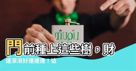 門前種什麼好|門前種這棵樹家裡財運一定旺